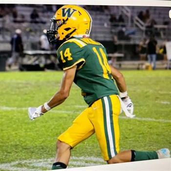 Luis Ramirez Contreras