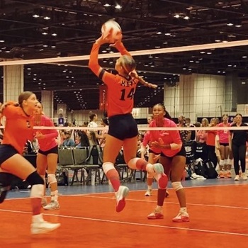 Hadley Marti