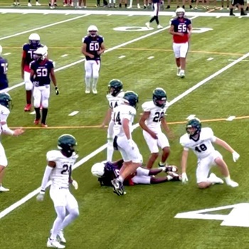 Maverick Stepanovich