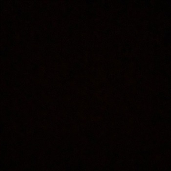 Sonny POITEVIN DELGUSTE