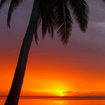 Allie Beth Forrester