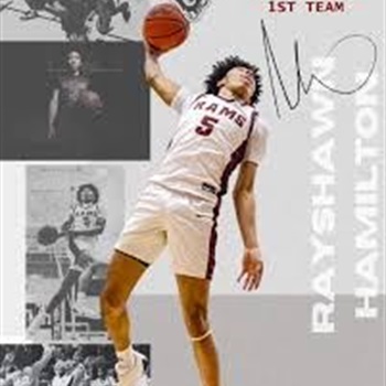 Rayshawn Hamilton