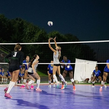 Whitney Pfannenstiel