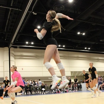 Mickele Mutschelknaus