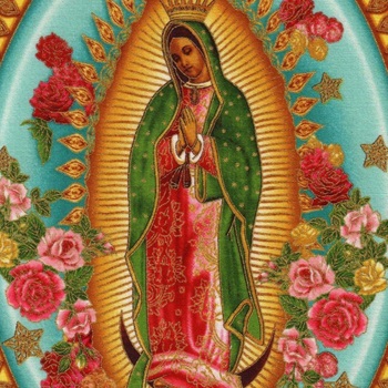 Jaqueline Carmona Vargas