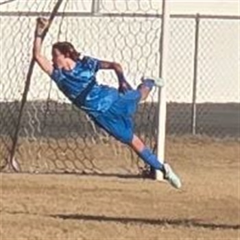 Alex Pitts