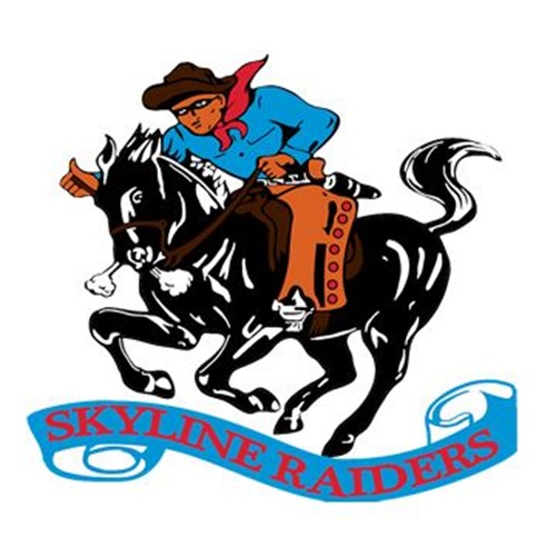 Dallas Skyline Varsity Football Dallas Skyline High School Dallas