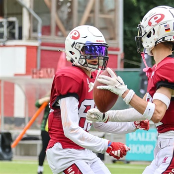 Red Guardians Jonathan Baumbach