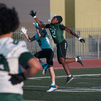 tremar montreal green