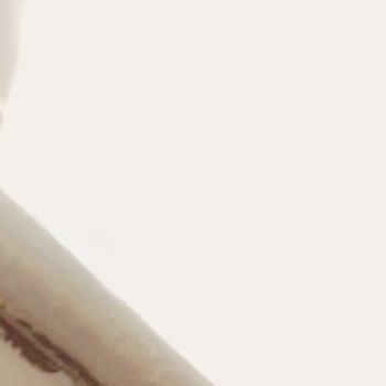 Nathaniel Andrzejewski