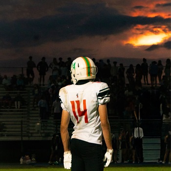 Colt Haines