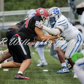 TJ Samples