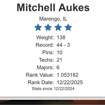 Mitchell Aukes