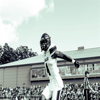 Elijah Anderson