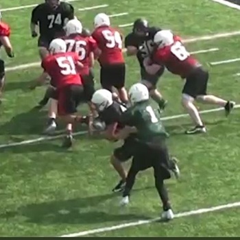 Nathaniel Bustamante