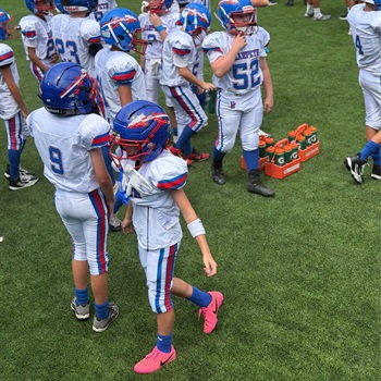 Carter Harness