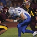 Dalton Halm