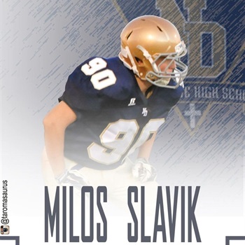 Milos Slavik