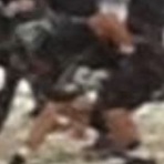 Desmond Hamby