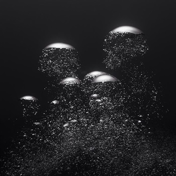 Adam Schultz adam28schultz@gmail.com