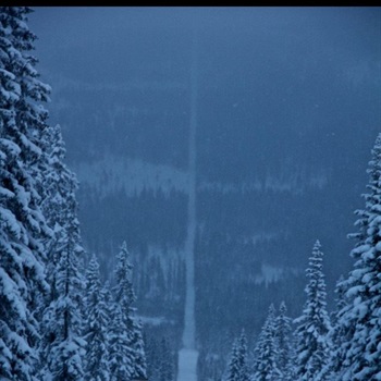 Ethan Cole-Whitehouse