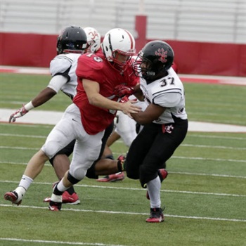 Phebra (Wolf) Brandy