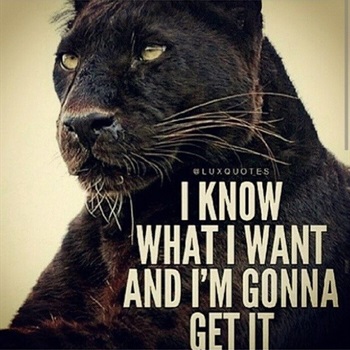 Mark LeFlore-Chapman