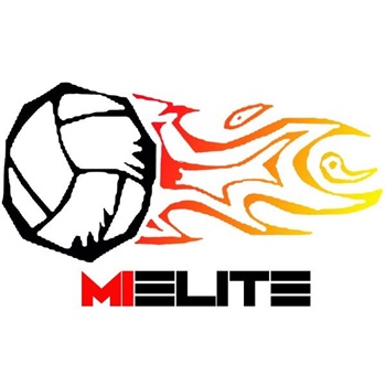 logo mizuno volleyball