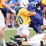 Austin Wade