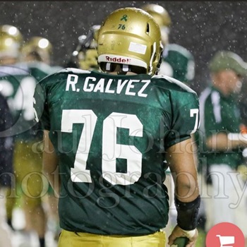 RODRIGO GALVEZ