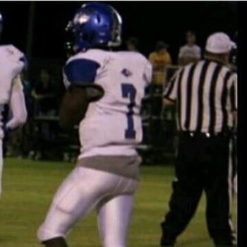 Timarco Fields