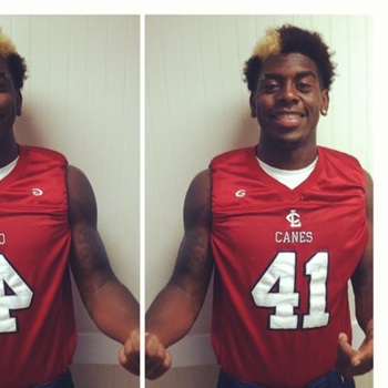 Quin Bruce Walker