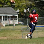 Chris Taylor