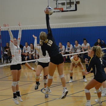 Izzy Claire Armstrong