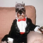 Aaron Kahl