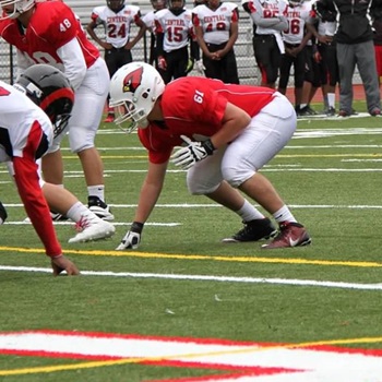 Mitchell Finkelstein