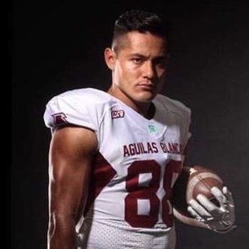 LUIS PEDROZA ESTRADA