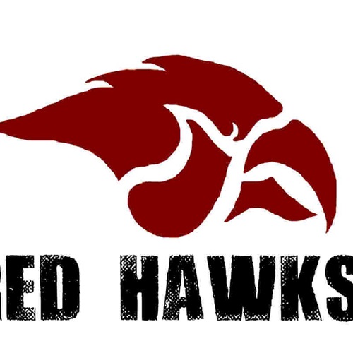 Girls Varsity Volleyball Cedar Springs High School Cedar Springs Michigan Volleyball Hudl