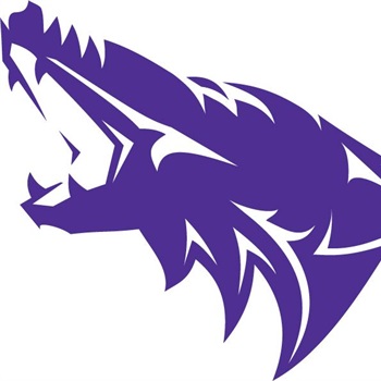 AMS FOOTBALL 2015