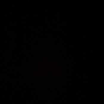 Creed Stegall-Monroe