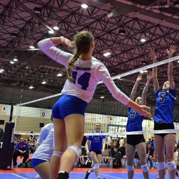 Sydney Wiedenmann