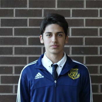 Luis Cepeda