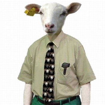 José Andrés Calderón