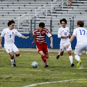 Luis Felipe Guarnieri