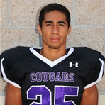 Ryan Faimalo