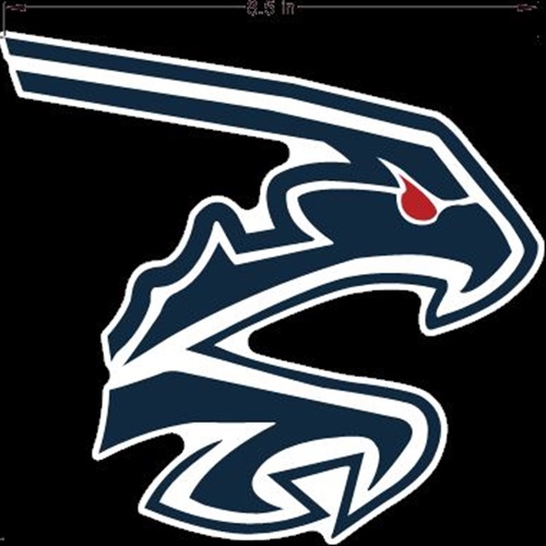 Boys Varsity Football Clear Lake High School Houston Texas