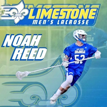 Noah Reed