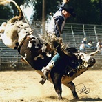 Josh Madsen