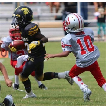 Derrick James Williams Jr