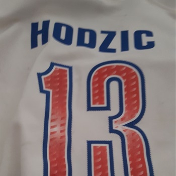 Aldin Hodzic